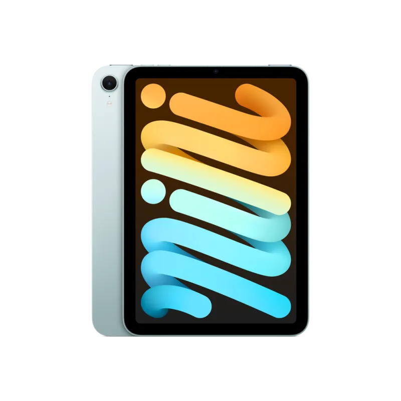 iPad mini