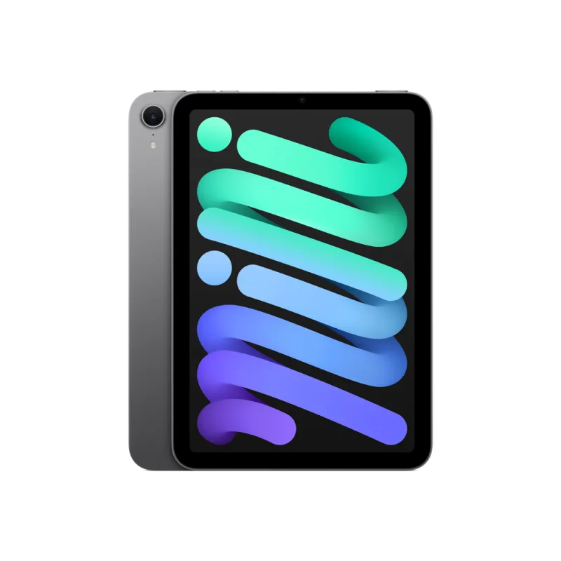 iPad mini in Space Gray
